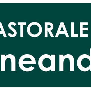 Pastorale Einheit im neanderland
