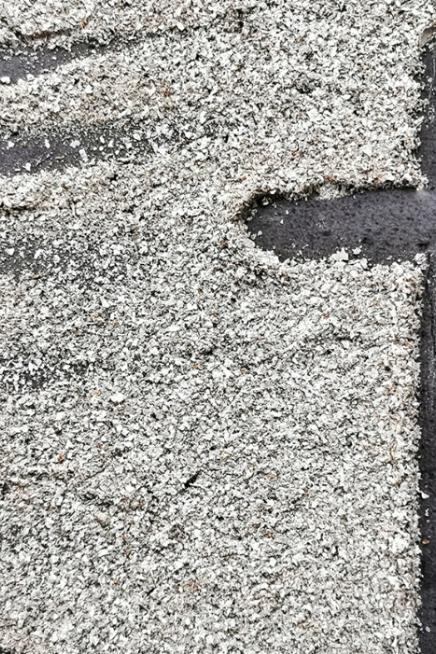 Fasten – wozu, wer, wie lang, was und warum?