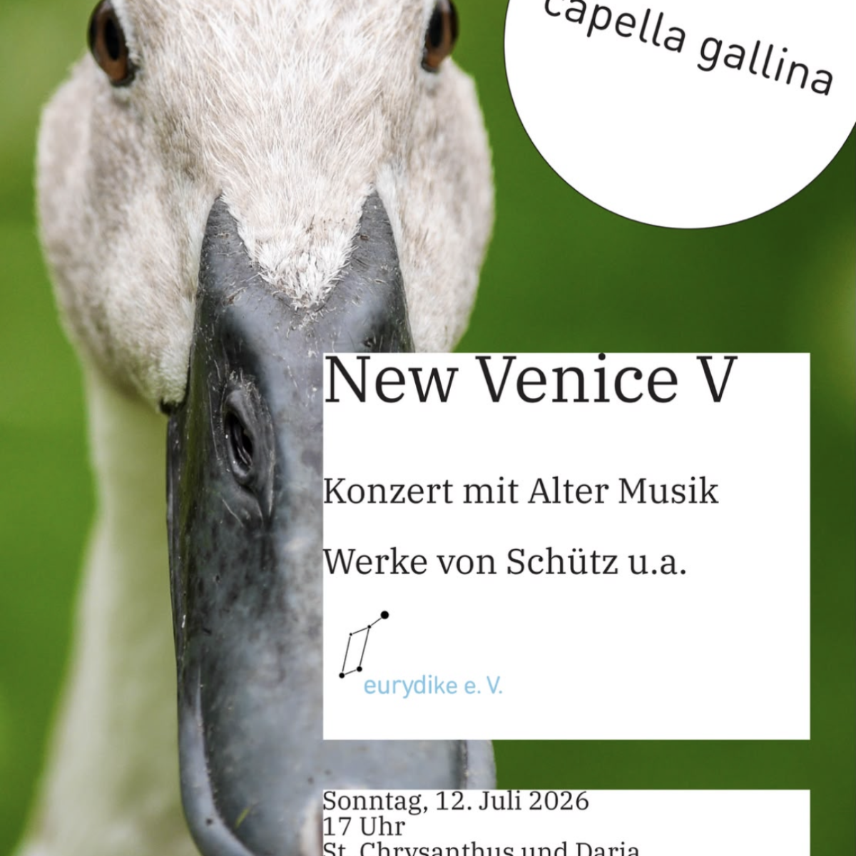 New Venice V